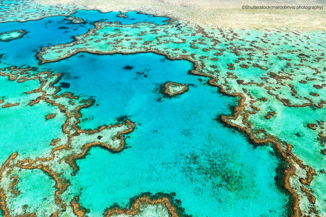 Great Barrier Reef. Heart Reef. Whitsundays. Queensland Australia