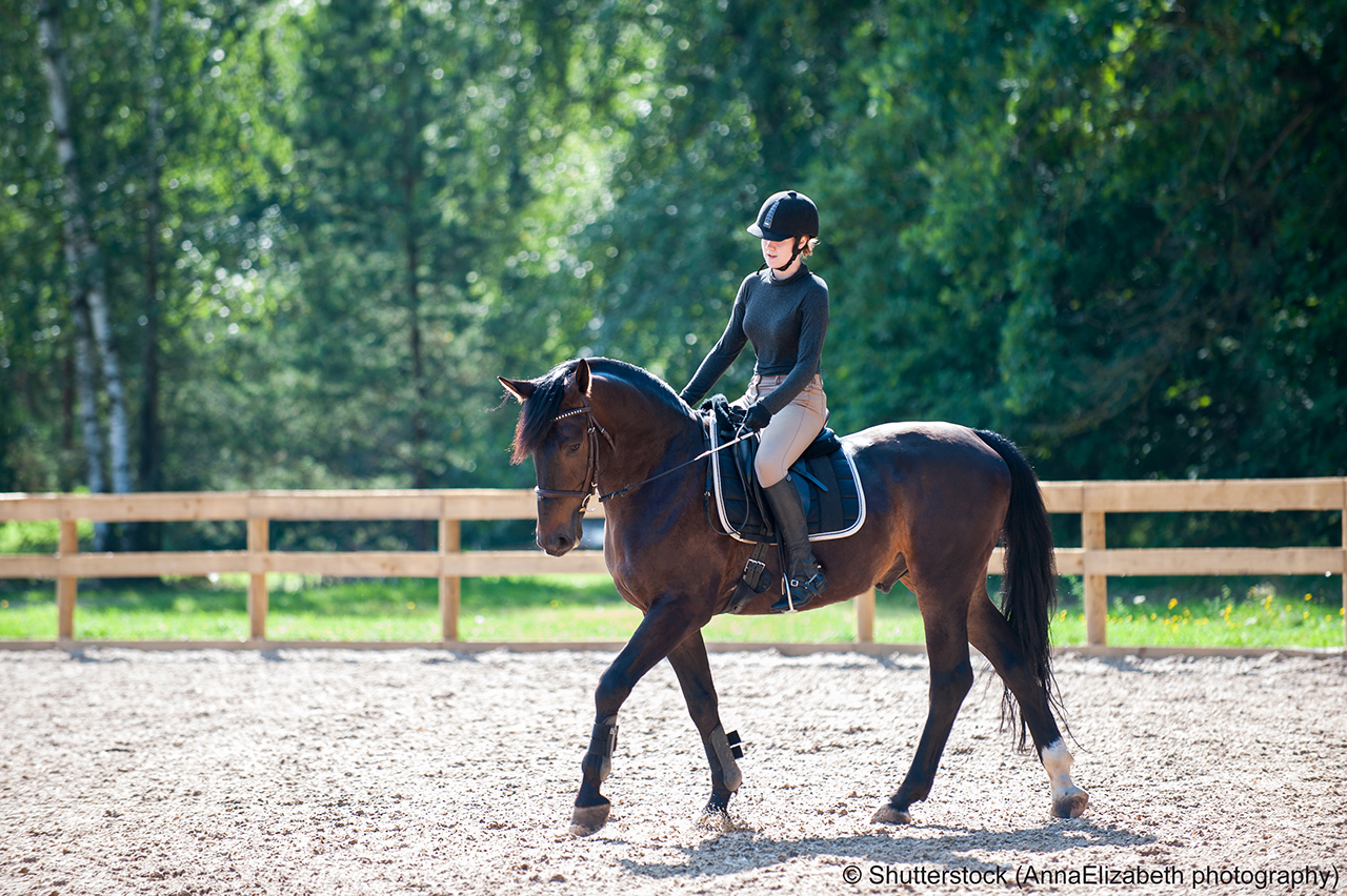 Training process. Young teenage girl riding bay trotting horse on sandy arena practicing at equestrian school. Colored outdoors horizontal summertime image with filter